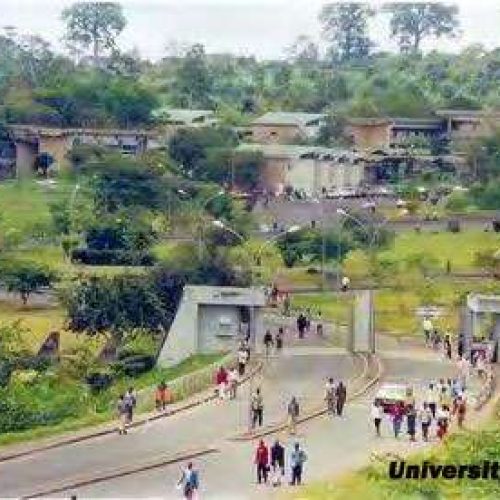 Assessing the impact of armed conflict on higher education in Cameroonâ€™s Anglophone regions