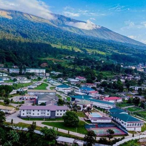 Fighting cybercrime in Cameroon: A legal and cybersecurity perspective