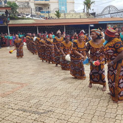 Call for Authors: Chapter 11 – Elections in Mbum-land