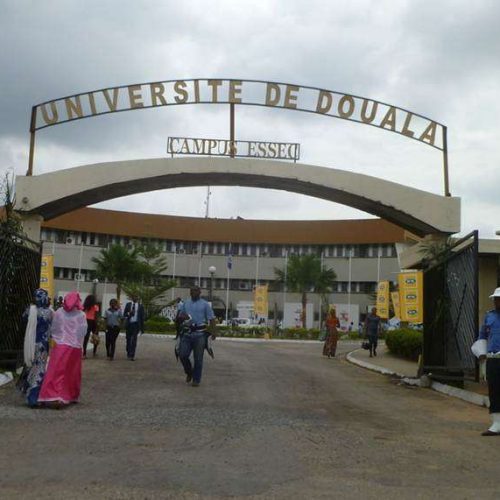 Cameroon’s Doctoral Education Revival: Key Reforms and Areas for Improvement